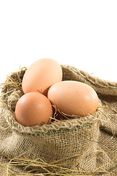 marrone uova in un sacco di formato verticale - agriculture brown burlap cholesterol foto e immagini stock