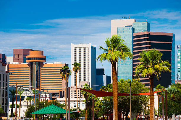 istock Phoenix skyline and palm trees closeup 453804017