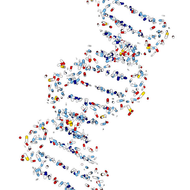 drugmodel: dna 캡슐세제 - sugar phosphate backbone 뉴스 사진 이미지