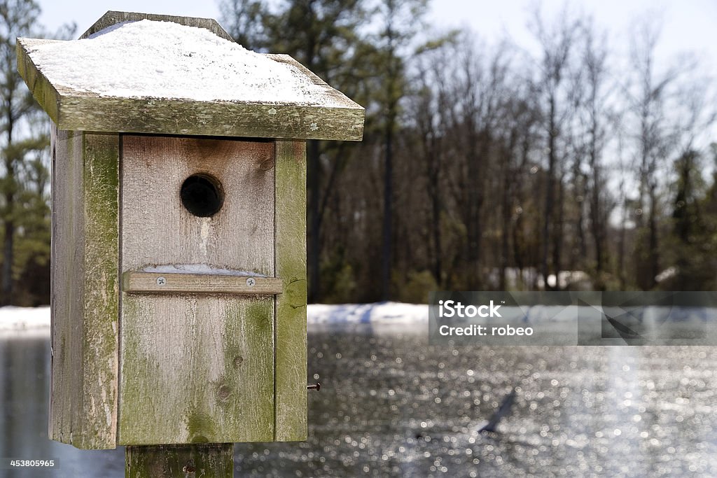 Nívea casita de pájaros - Foto de stock de Agua libre de derechos