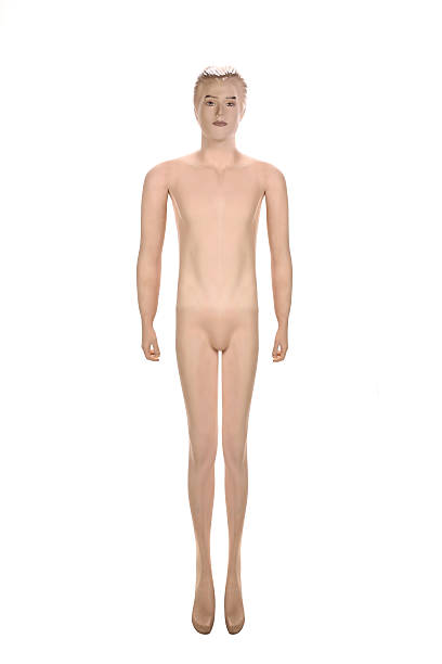 istock Close up of mannequin male. 453808013