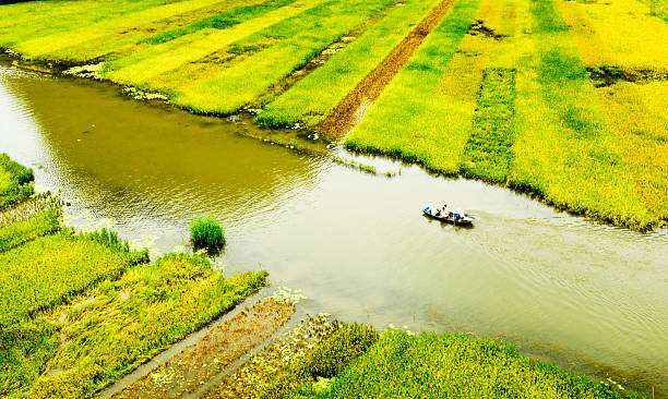 istock Rice field and river in NinhBinh, Vietnam 453808075
