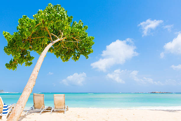 détente sur la plage - travel destinations polarizer outdoors luxury photos et images de collection