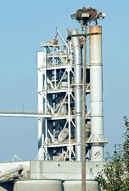 Photo of Osprey nest in breeding area near concrete plant