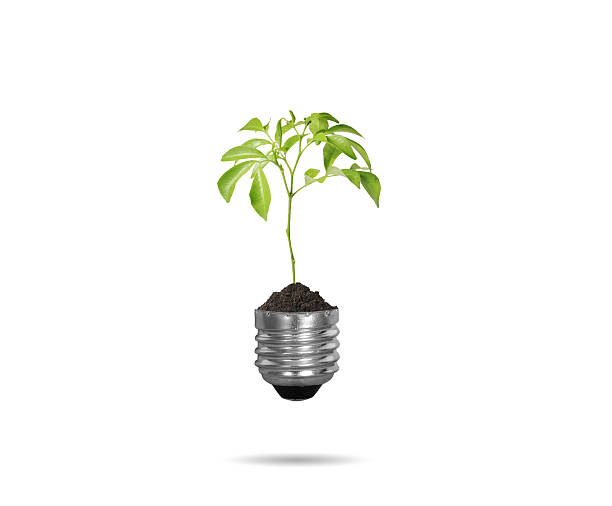 istock light bulb with plant as the filament 453835221