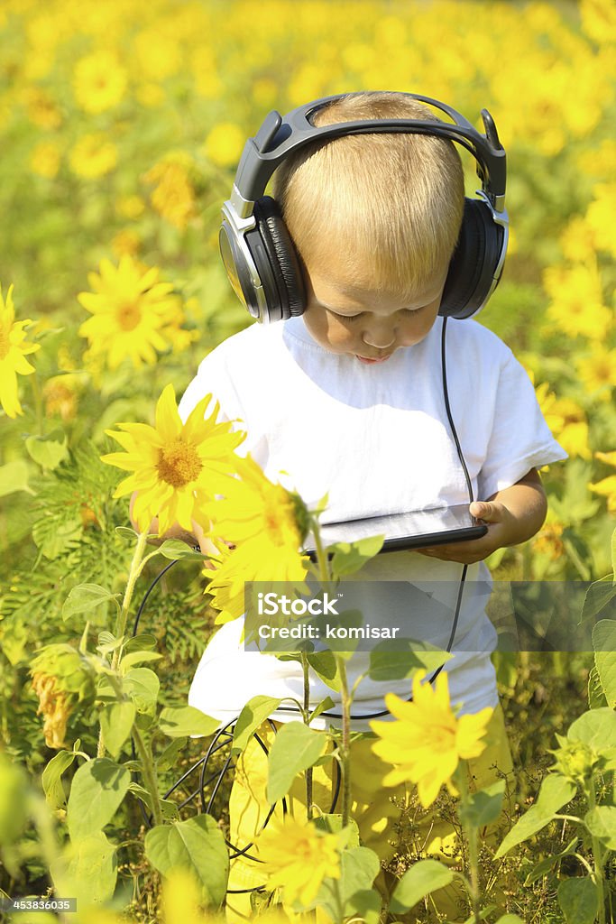 boy with tablet computer boy with tablet computer on a flowering field Agricultural Field Stock Photo