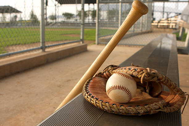 istock Baseball Bat and Glove in the Dugout 453836285