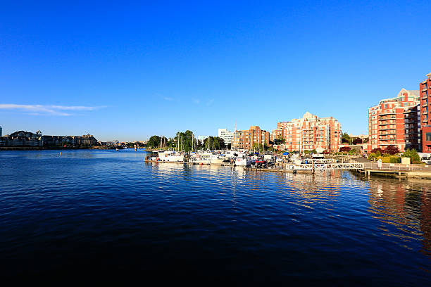 istock View of Laurel Point Park in Victoria 453836887