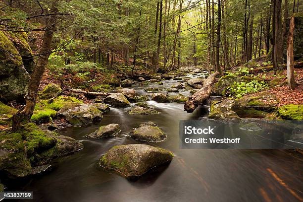 Водопад Brook — стоковые фотографии и другие картинки Без людей - Без людей, Горизонтальный, Длительная выдержка