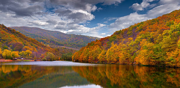 istock Colorful autumn landscape in the mountains with lake 453843821