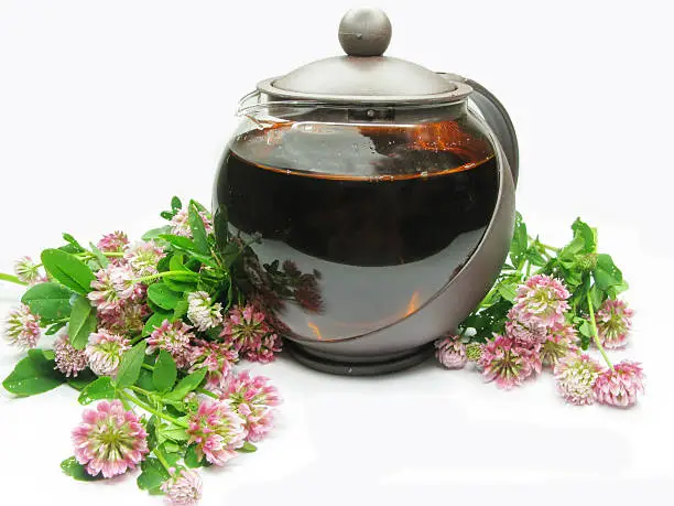 herbal tea with clover in teapot