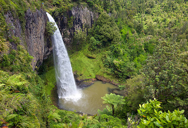 istock New Zealand 453845073