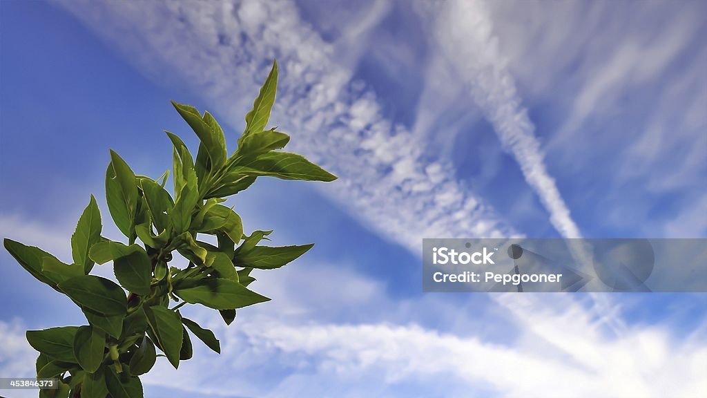 Cielo blu con vapore e lascia scie - Foto stock royalty-free di Ambientazione esterna