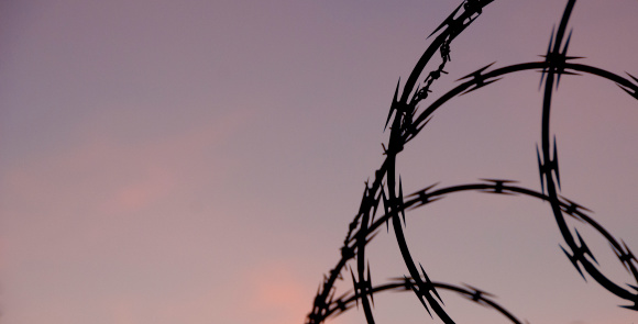 Razor wire to one side  of image. The razor wire is silhouetted against a  purplish sky.