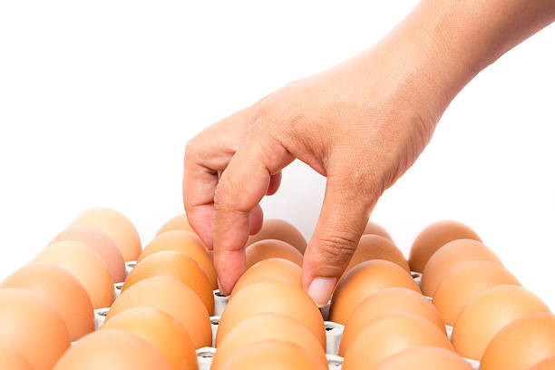 istock person choosing the best egg from a carton of eggs 453851335