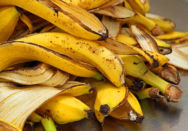 黄色のバナナの皮を保存するピールで有機廃棄物 - rotting banana vegetable fruit ストックフォトと画像