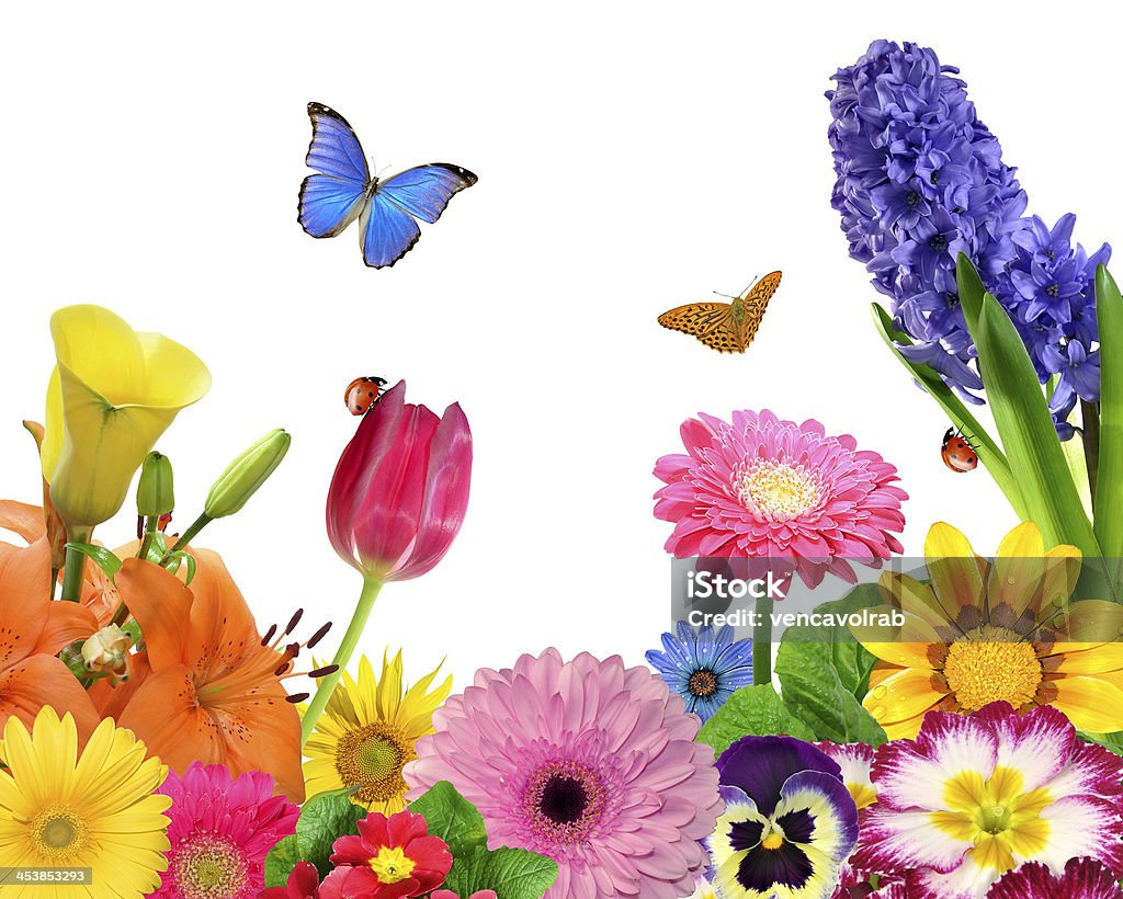 An Colorful Animated Picture Of Flowers And Butterflies Stock Photo -  Download Image Now - iStock