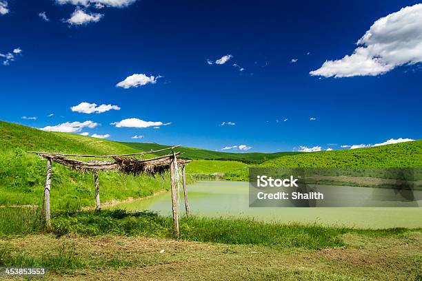 Vecchio Tetto Di Paglia Con Paglia Su Un Laghetto Nel Campo - Fotografie stock e altre immagini di Acqua