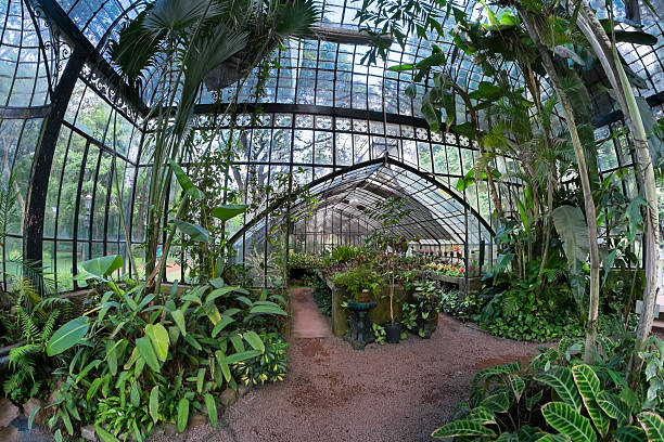 istock Greenhouse interior full of pots and plants 453854343