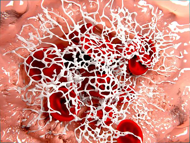 Fibrin Mesh #4 by Nibsc