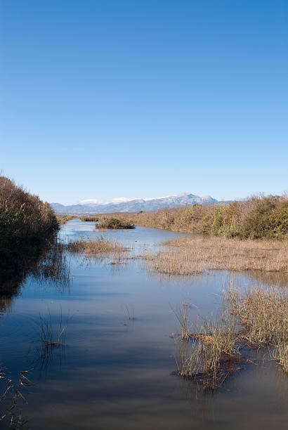 istock Nature resort s'Albufera, Mallorca 453862369