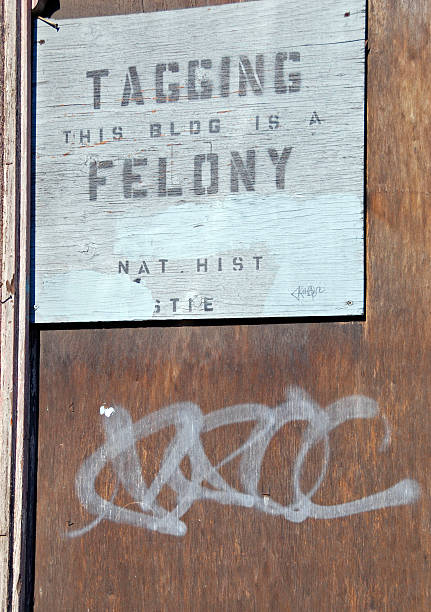 istock Tagging this building is a felony sign and graffiti below 453869957