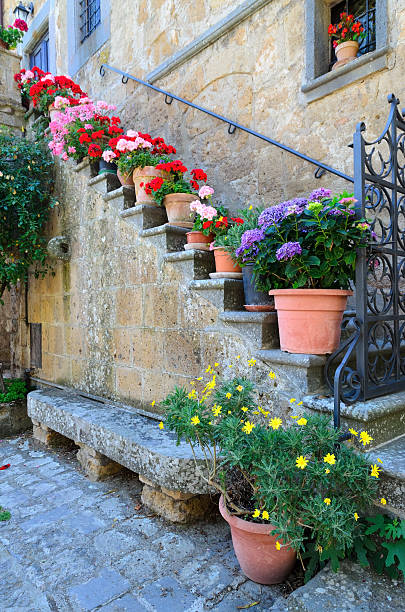 Floral Doorway, Civita, Lazio, Italy stock photo