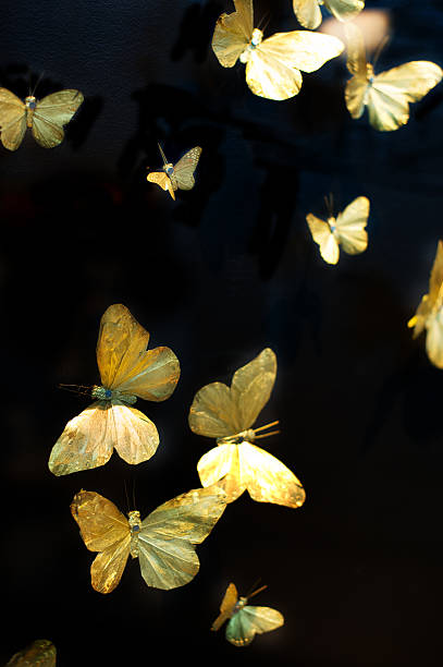 istock colourful feather butterfly's at a market 453878555