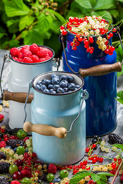 frisch geerntet wilden beeren früchte im sommer - berry fruit refreshment rural scene vertical stock-fotos und bilder