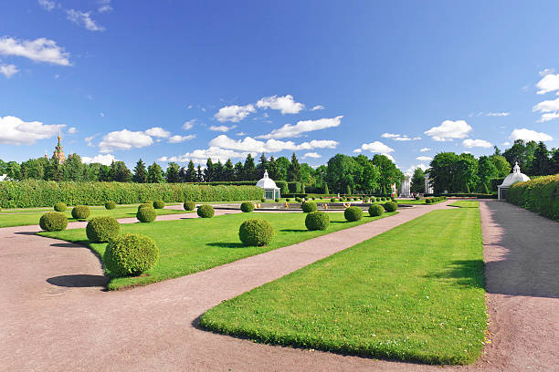 parque superior en pertergof, saint-petersburg, rusia a la ciudad - peterhof palace fotografías e imágenes de stock