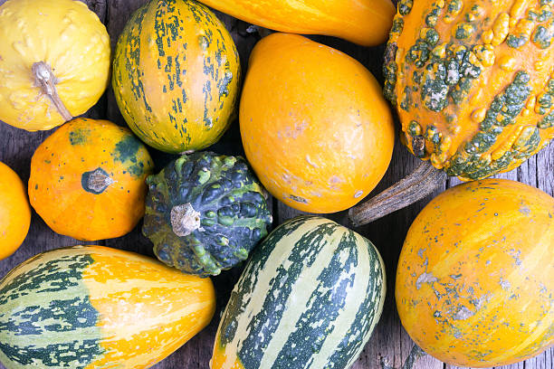 istock Pumpkins on a wooden table , backrounds 453889881