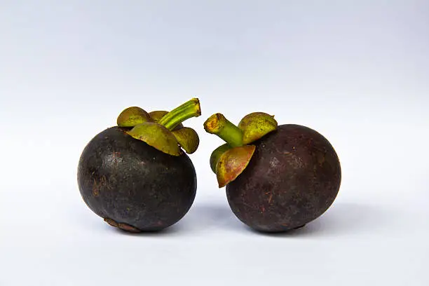 Two mangosteens on white background