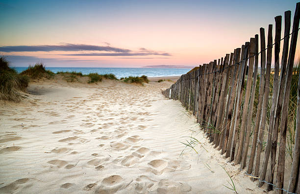 istock Grassy sand dunes landscape at sunrise 453893859