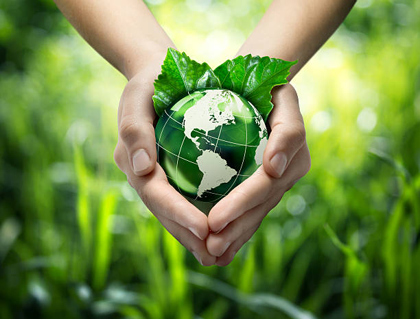 손을 쥠 green globe, 잔디 배경기술 - globe earth human hand environment 뉴스 사진 이미지