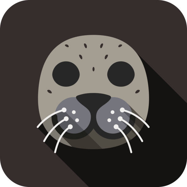 Sea lion animal face flat design