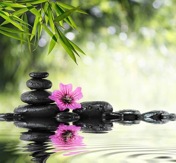 istock composition for bath in garden - hibiscus, bamboo and water 453909447