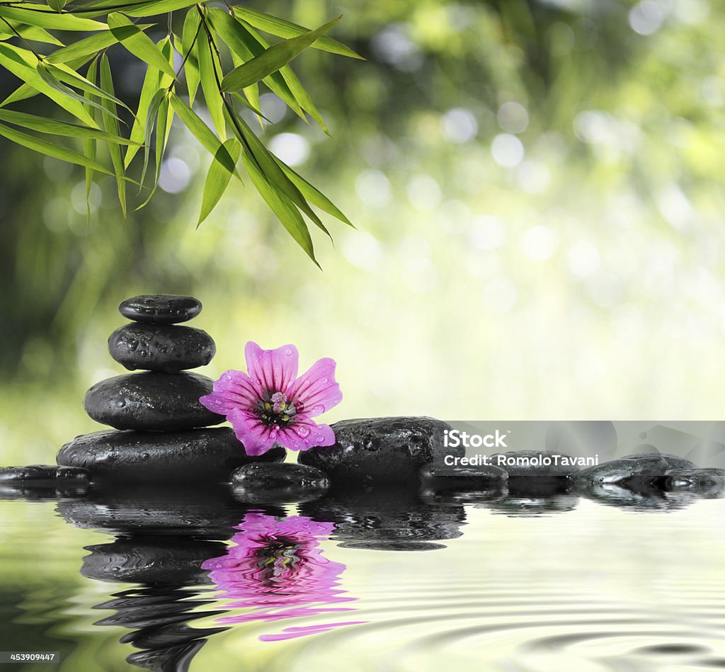 composition for bath in garden - hibiscus, bamboo and water pile of black stones, purple hibiscus, on water - in garden with blur effects Zen-like Stock Photo