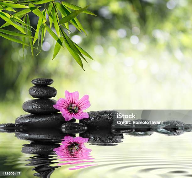 Composition For Bath In Garden Hibiscus Bamboo And Water Stock Photo - Download Image Now