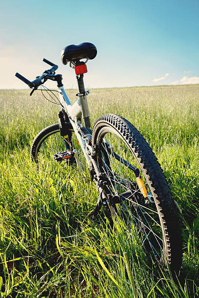istock bike parked in a meadow 453910259