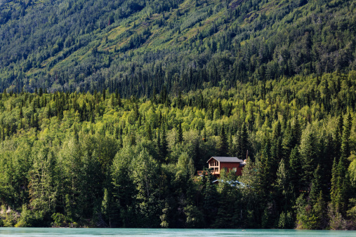 Remote cabin in the woods reveals itself in the Alaskan wilderness in summertime