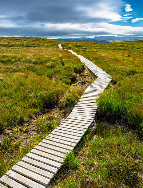 Narrow path up a hill toward the cloudy sky stock photo
