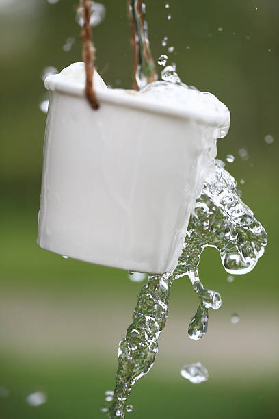 istock Collecting Water in Bucket 453913323