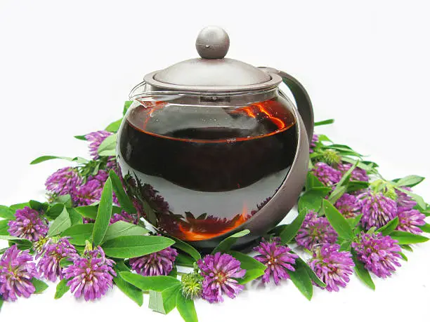 teapot with floral clover tea
