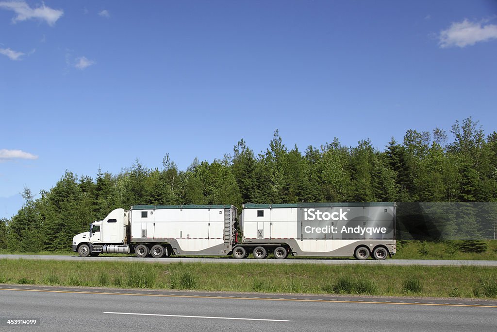 Semi-Camión - Foto de stock de Aire libre libre de derechos