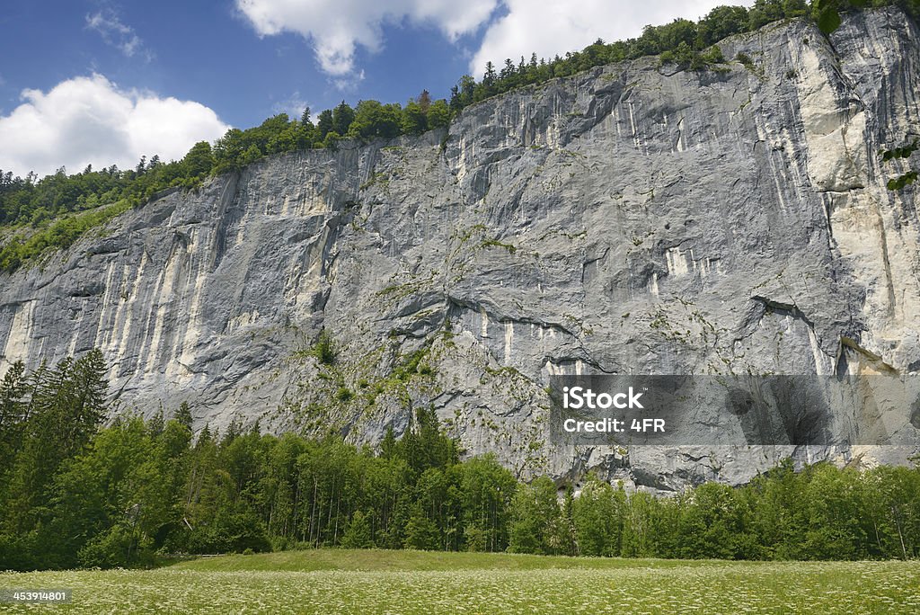 Gössler simulación, Austria - Foto de stock de Abeto Picea libre de derechos