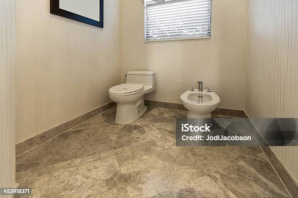 Elegante Baño Y Sanitario Con Calefacción Y Bidé Foto de stock y más banco de imágenes de A la moda - A la moda, Arquitectura, Baño