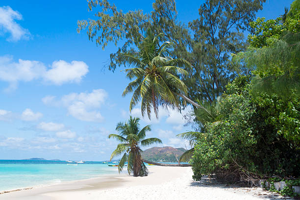 istock White coral beach sand and azure ocean. Seychelles islands. 453921561