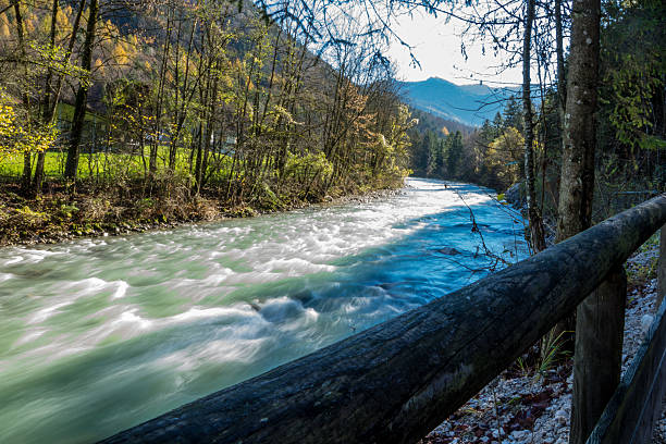 fiume sinuoso - baumblätter foto e immagini stock