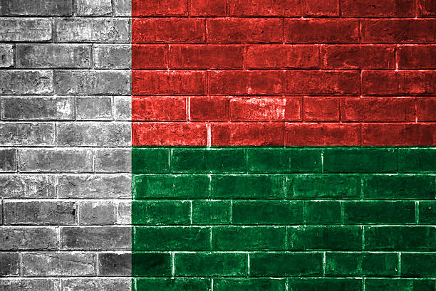 istock Madagascar flag painted on a brick wall 453925019