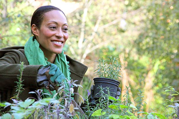 istock Lady potting plants in the garden. 453931315